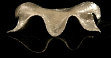Soft Multifunctional Composite with Liquid Crystal Elastomer Soft Multifunctional Composite with Liquid Crystal Elastomer