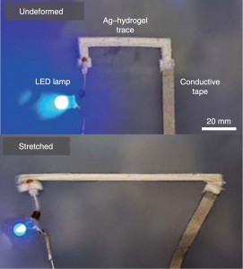 Ag-hydrogel