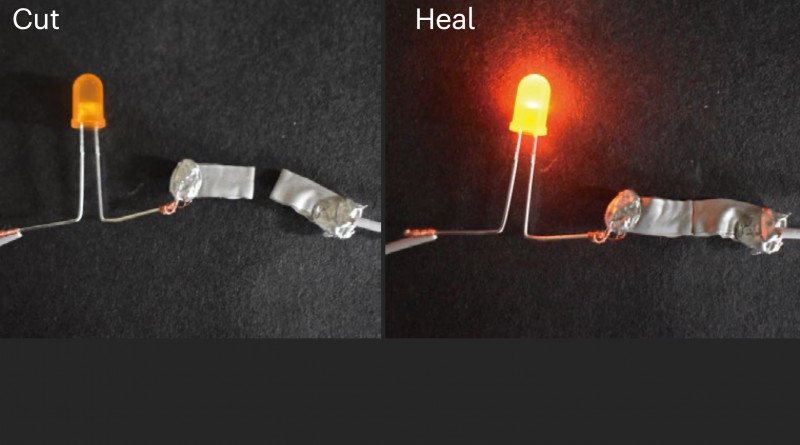 SML research on Self-Healing Conductive Materials profiled in Nature